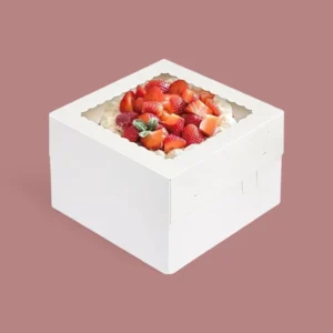 Square Boxes for Cakes